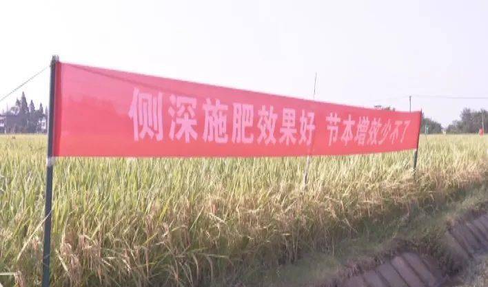 貌司孙化肥